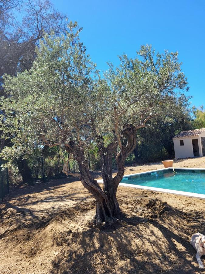Villa Gitedelea Aubignan Dış mekan fotoğraf
